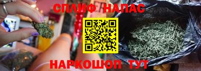 крисы Ярцево