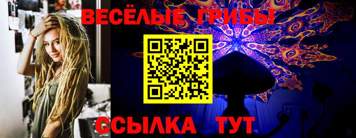 Галлюциногенные грибы MAGIC MUSHROOMS  Вход с VPN  дарнет шоп  Владивосток 